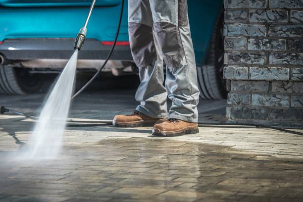 Best Driveway Pressure Washing  in St Paul Park, MN